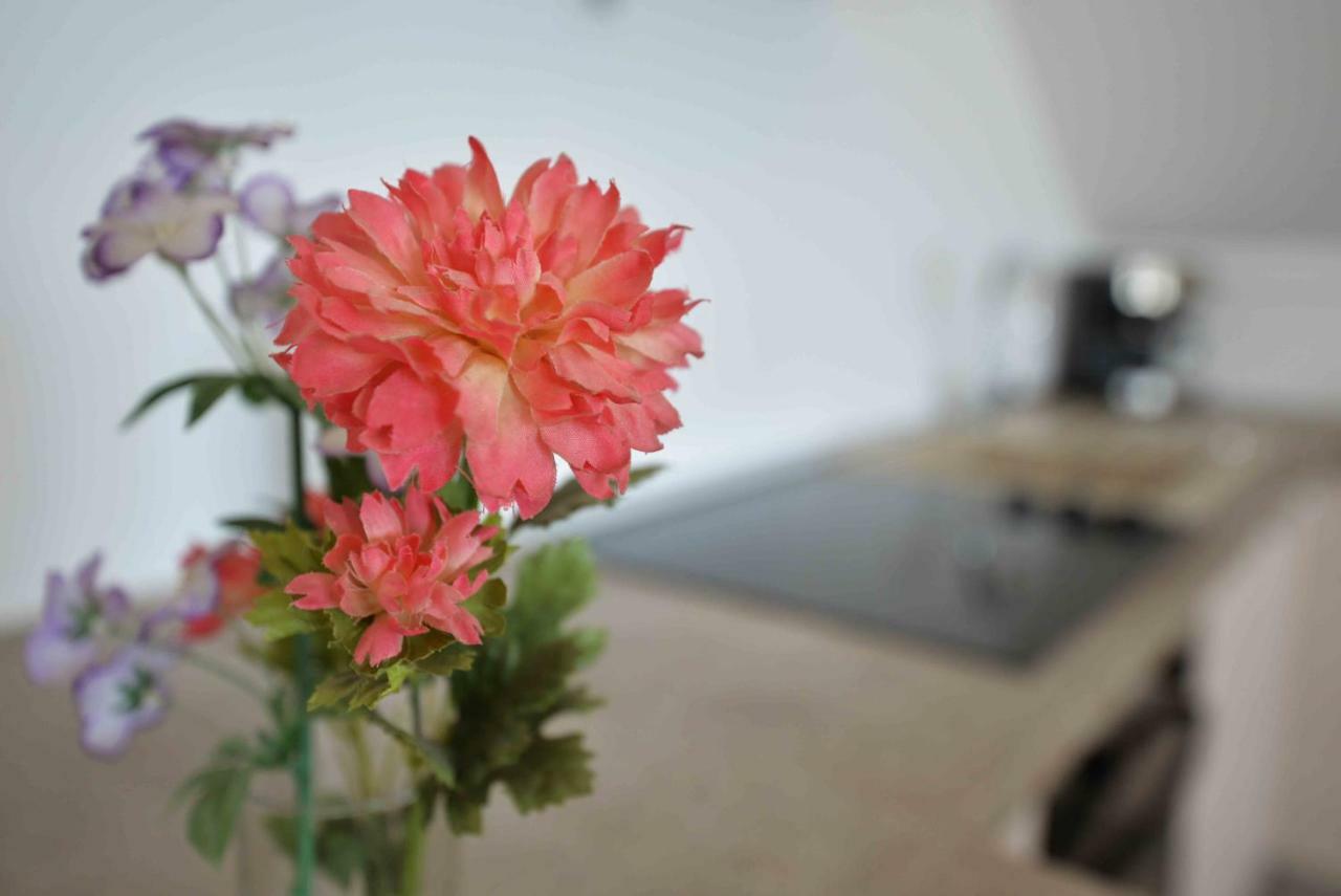 Apartmani Mikin Betina  Exteriör bild
